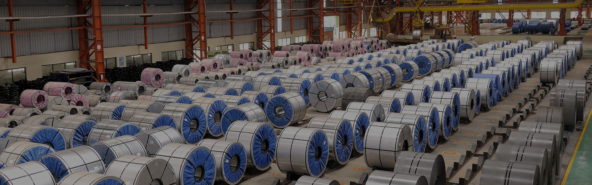 Product Catalog Download